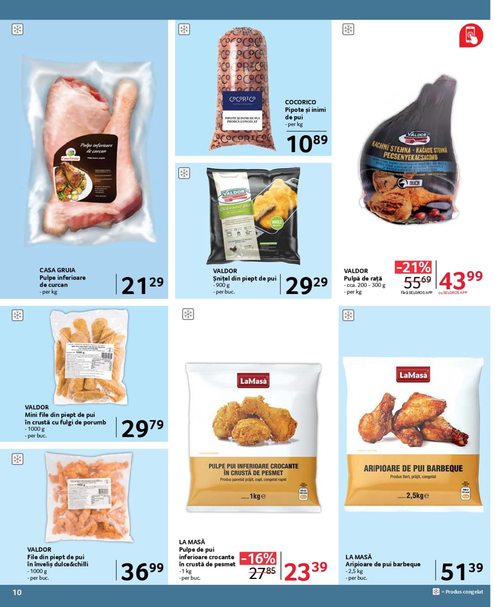 catalog Selgros gastro food